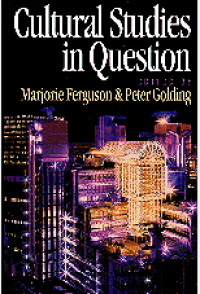 Image of Cultural studies in question