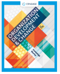 Image of Organization development & change