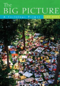 Image of The big picture  a sociology primer