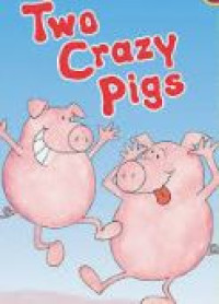 Image of Two crazy pigs